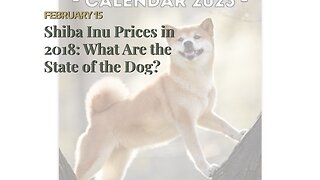 Shiba Inu Prices in 2018: What Are the State of the Dog?