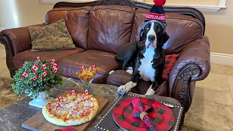 Great Danes celebrate Canada Day with poutine & Hawaiian pizza