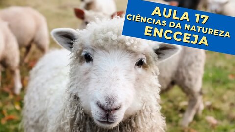 🐑 CLONAGEM - Ciências da Natureza e suas Tecnologias - ENCCEJA - [Ensino Médio] - Aula 17