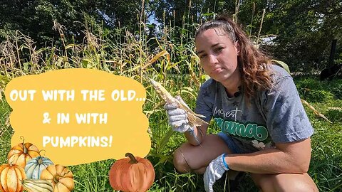 From Corn to Pumpkins: Transforming Our Homestead with a Pumpkin Patch!