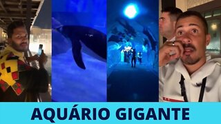 Carlinhos Maia e Lucas Conhecem o Aquário Gigante e o Show das Águas em Dubai