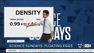Science Sunday: Breaking down buoyancy