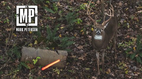 Over 20 Shots In 2 Minutes! | Mark V Peterson Hunting