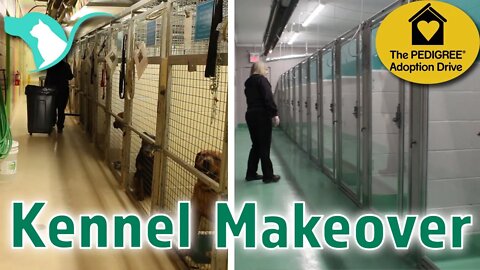 Kennel Makeover | New Adoption Dog Kennels