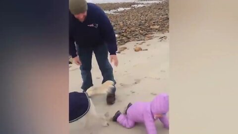 Try Not To Laugh Funniest Babies on the Beach Pew Baby 8