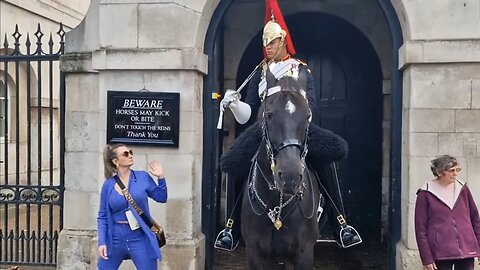 He gives that look she jumps looking up at him 😆 🤣 😂 #horseguardsparade
