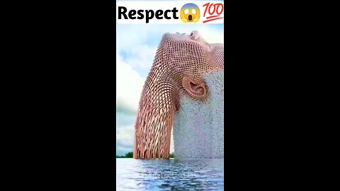 muscle Respect