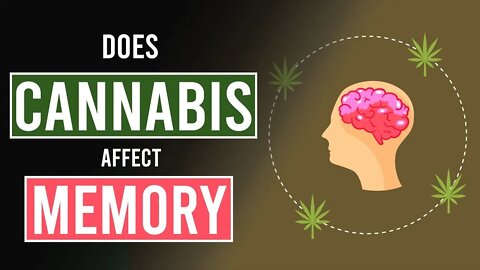 How Cannabis Affects Your Memory!