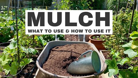 MULCHING YOUR GARDEN: WHAT to use and HOW to use it