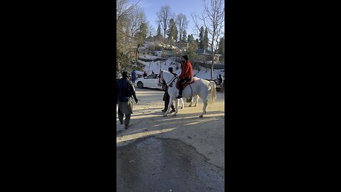 Horse Riding wi awsome viewa