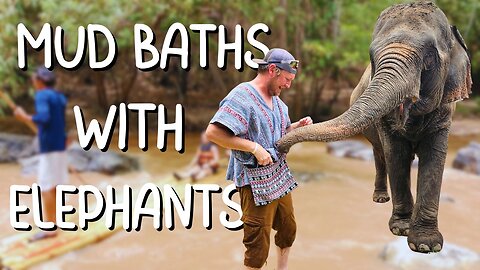 Chiang Mai Adventure: Bamboo Rafting & Elephant Mud Baths!