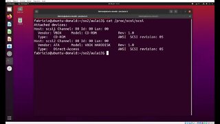 Obtendo a Lista de Drives SATA ou SCSI no Linux com /proc/scsi/scsi