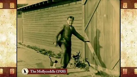 The Mollycoddle (1920) 🐱 Cat Movies 🎥🐈