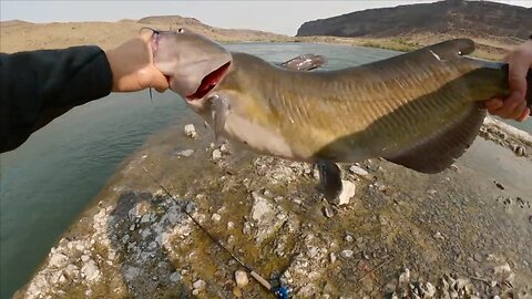 Paddleboard Catfish and Sturgeon fishing the Snake River in Idaho - All Day action