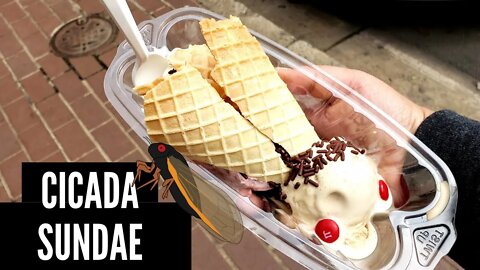 Cicada Sundae! Toby's Homemade Ice Cream & Coffee | Arlington, VA