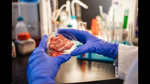 Good Harvest - Human Laboratory Meat - Ανθρώπινο Κρέας Εργαστηρίου