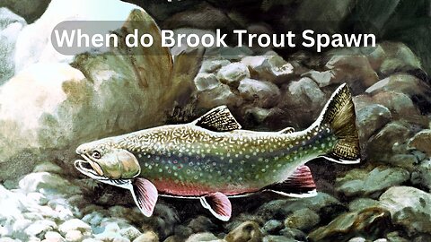 When do Brook Trout Spawn?