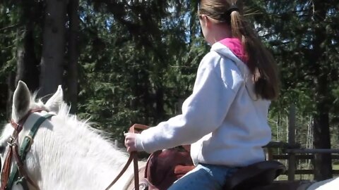 The Girl's First Horse Riding Lessons