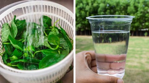 How To Remove Fluoride From Water Using Holy Basil