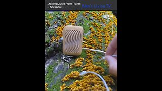 Plants making music