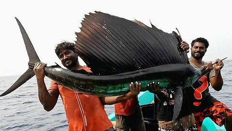 Catching Sail Fish, King Fish & Mahi Mahi Fish in the Deep Sea