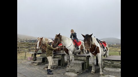 2023 Bông @ Aso Kusasenri Horseback Rides 阿蘇草千里乗馬クラブ - khu vực núi lửa ASO