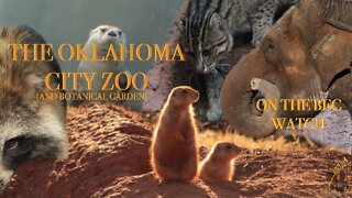 BEC Watch Entries: #16 Oklahoma City Zoo(and Botanical Garden)