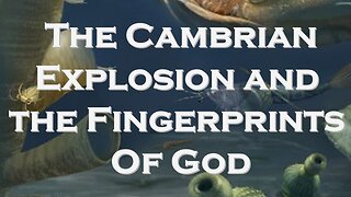 The Cambrian Explosion and the Fingerprints of God