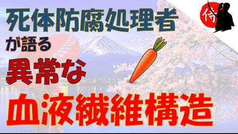 2022年09月18日 死体防腐処理者が語る 「異常な血液繊維構造」