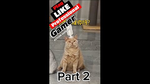 Cats professional gaming #part 2 😂😂