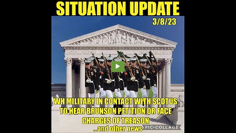 SITUATION UPDATE 3/8/23 (Brunson Petition Misprision - failure to investigate possible 2020 fraud)