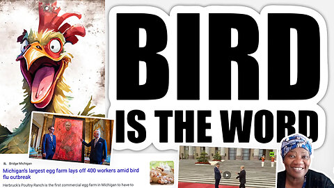 Dr. Stella | Is Mark 13 & Revelation 16:12-14 Happening? Is Bird Flu Here In Time for Election Season? Largest Egg Farm In Michigan Lays Off 400 Workers Amid Bird Flu Outbreak + Putin & Jinping Meet In Bejing?! Gold Hits $2,414