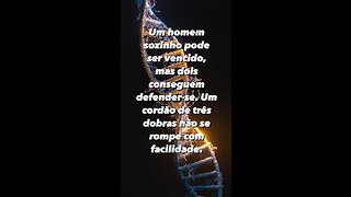 O cordão de 3 dobras é muito mais forte fica !! - The 3 ply cord is much stronger stays!!!