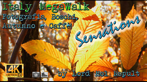 Italy MegaWalk - Fotografia, Boschi, Autunno e Caffè! - SENSATIONS