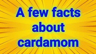 A few facts about cardamom