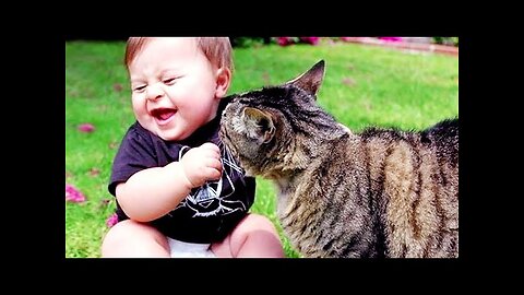 Funny Babies Playing with Dogs Compilation - Funny Baby and Pets || Cool Peachy