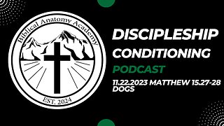 11.22.2023 Matthew 15.27-28 Dogs