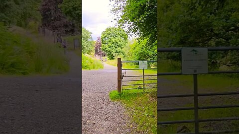 The gate towards Carbeth on The West Highland Way Scotland #westhighlandway