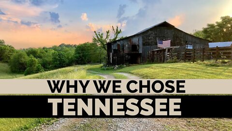 Why We Chose Tennessee As Our New Home (PART 2)
