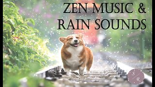 Relaxing Zen Music & Rain Sounds - Instant Stress & Anxiety Relief - Chill Vibes