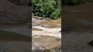 by the river #shorts