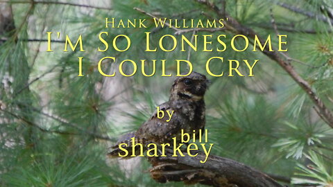 I'm So Lonesome I Could Cry - Hank Williams / B. J. Thomas (cover-live by Bill Sharkey)