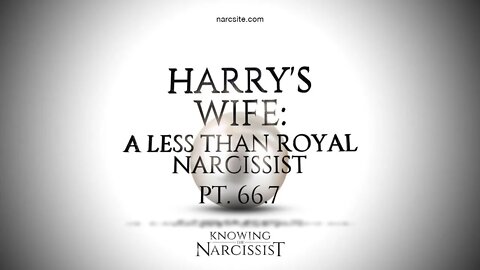 Harry´s Wife : Part 66.7 The Pressure Is On - What Will Harry´s Wife Do Next re IPPS?