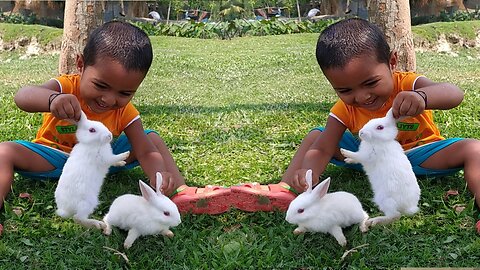 Happy Moment with rabbits