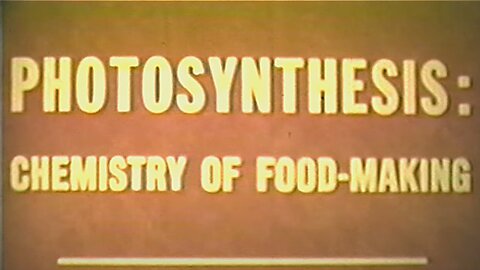 The Process of Photosynthesis