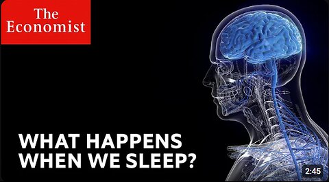 Science Can't Explain Why We Sleep