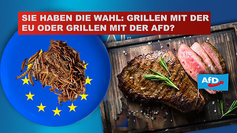 SIE HABEN DIE WAHL: GRILLEN MIT DER EU ODER GRILLEN MIT DER AFD?