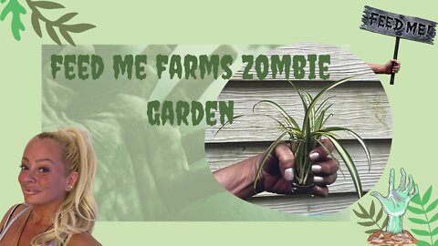 Feed Me Farms Zombie Garden Episode 2