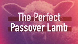 "The Perfect Passover Lamb" - Palm Sunday Service - April 2, 2023