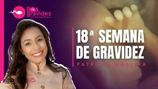18 SEMANAS DE GRAVIDEZ - Gravidez Semana a Semana